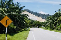 Naar Lumut