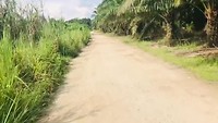 Naar Lumut