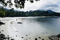 Pulau Pangkor