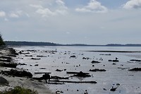 Langs de kust