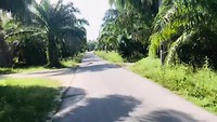 Lumut - Teluk Intan