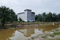 Zwaluwnestjes fabriek