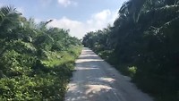 Naar Batu Pahat