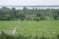Anuradhapura