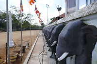 Anuradhapura