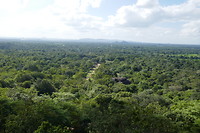 Sigiriya