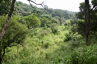 Onderweg