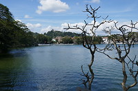 Kandy
