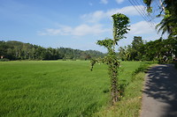 Onderweg