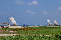 Negombo