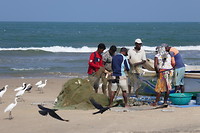 Negombo
