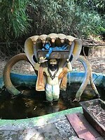 vandalur zoo