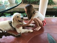 ja eindelijk een knuffelhond