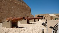 Old cannons
