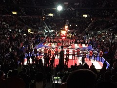 IMG_6531