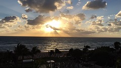 IMG_6555