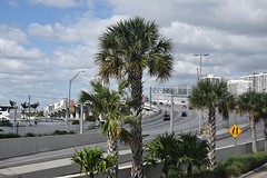 DSC_0076