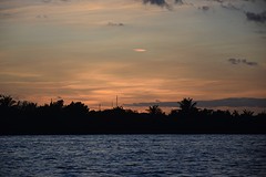 DSC_0234