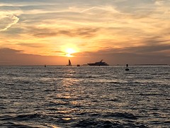 IMG_6591