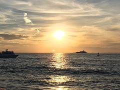 IMG_6586