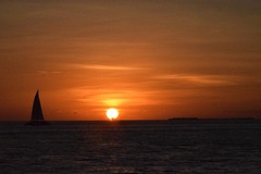 DSC_0563