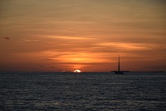 DSC_0578