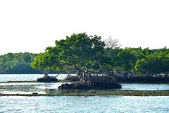 DSC_0686
