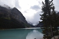 DSC_0156