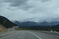 DSC_0181