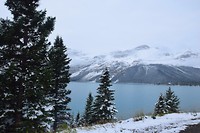 DSC_0304