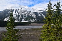 DSC_0444