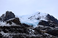 DSC_0619