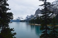 DSC_0867