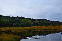 DSC_0015