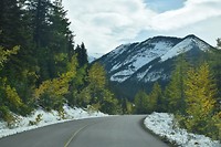 DSC_0061