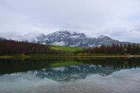 DSC_0920