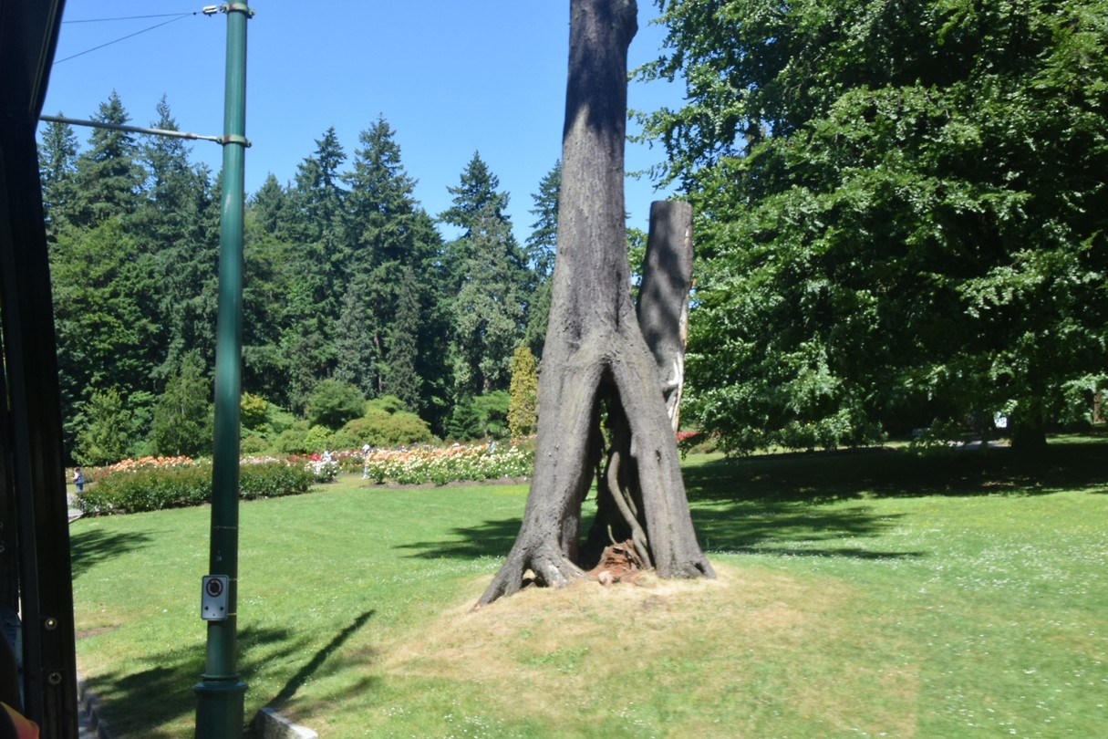 STANLEYPARK