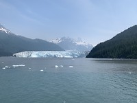 79297086-0B8E-4F61-94EE-179CE44C6006