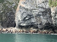 BE2043F3-2053-4BDE-BCC1-B11FF3BB3718