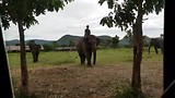 20180723_095718