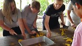 20180723_112229