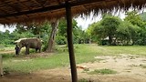 20180723_140105