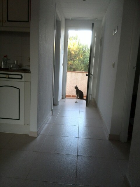 shadow bijna binnen