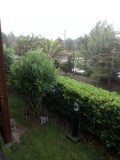 regen!