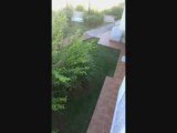 shadow de kat