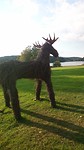 Eland van takken
