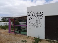 Kattenverblijf