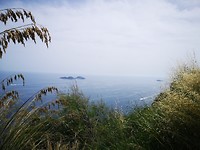 IMG_20190611_154240