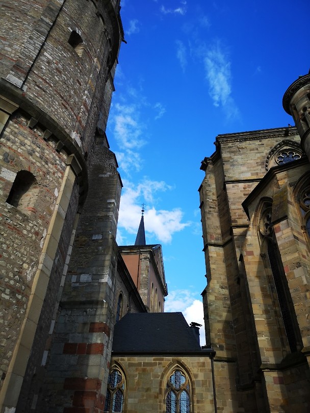 Door de Dom