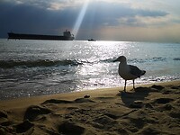 Vlissingen by sunset